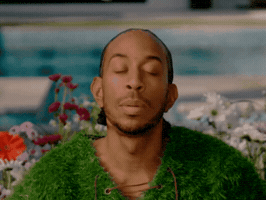 Ludacris Oad GIF by One A Day