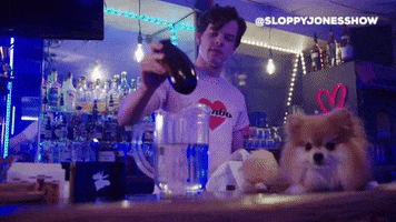 Comedy Lol GIF by Hop To It Productions