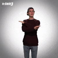 Stop It GIF by SWR3