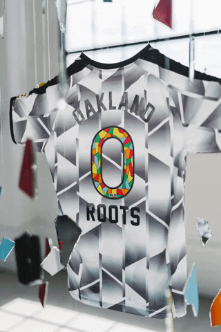 The Town Football GIF by Oakland Roots SC