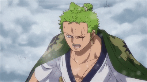 One Piece Fighting Gif By Toei Animation Uk Find Share On Giphy