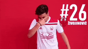 FC Vozdovac GIF