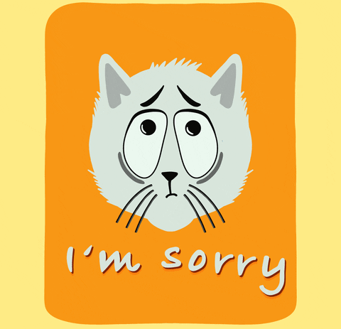 Cat Sorry Gifs Get The Best Gif On Giphy