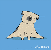 Dogs GIF