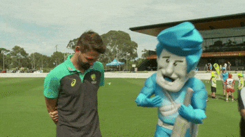 Bbl Smash GIF by Adelaide Strikers