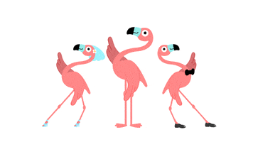 Https Encrypted Tbn0 Gstatic Com Images Q Tbn 3aand9gcsqejliwyyarejbidome Nrcoav0 Soeftiuw Usqp Cau - flamingo roblox dance gif