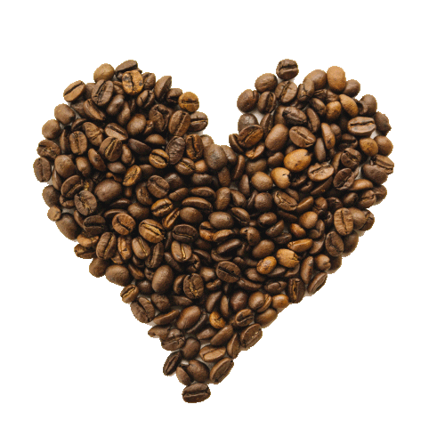 Kurukahveci Bakkaloglu Sticker by Monacos Coffee