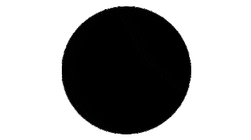 Horse Jumping Sticker by Forestier Sellier