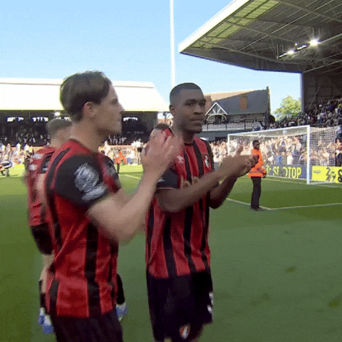 Happy Premier League GIF by AFC Bournemouth