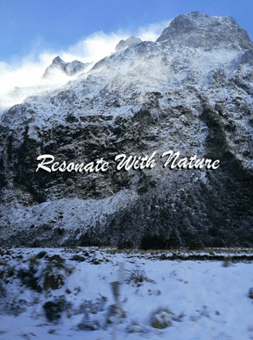 Mindfulness Techniques GIF