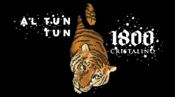 200.gif?cid=fc005b083fb4b6b1e4e78cfb5b5eded31903b30420a2dfc7&rid=200.gif&ct=g