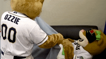Ozzie GIF by Kane County Cougars