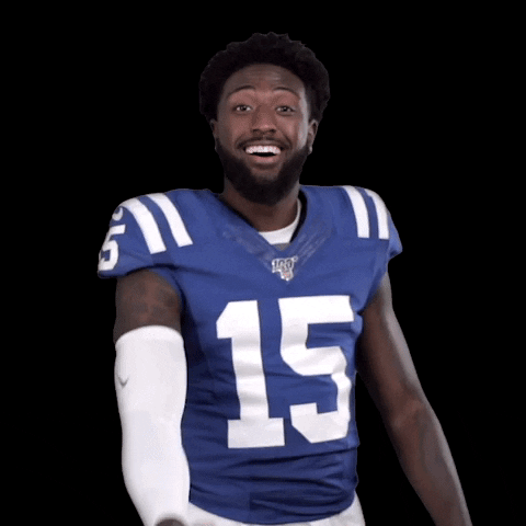 indianapolis colts no GIF by NFL