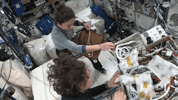 High Five Teamwork GIF by NASA