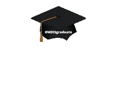 MDIS Sticker