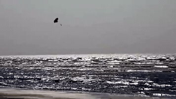 Bangladesh GIF