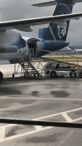 airplane dog crate GIF by Impact Dog Crates