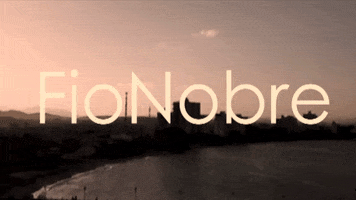 FioNobre GIF