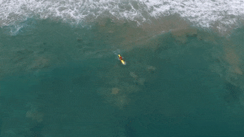JetwingHotels holiday beach surf boat GIF