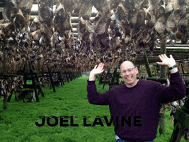 Joel Lavine GIF
