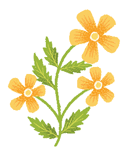 Flower Sticker by CAUSEBOX