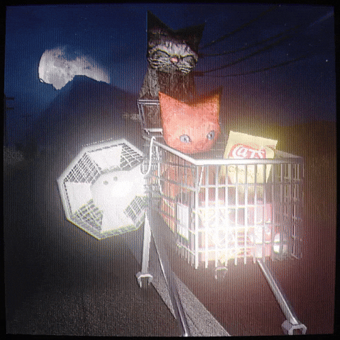 Cats Love GIF