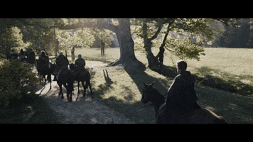 Horseback Riding Horse GIF by VVS FILMS