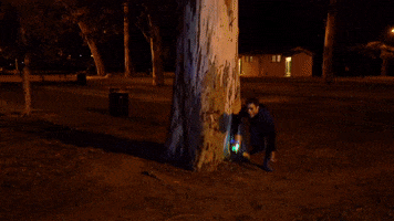 Capture The Flag Redux GIF