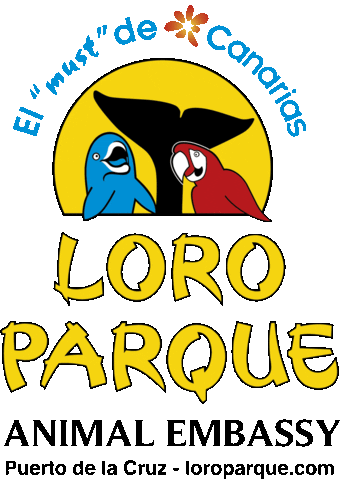 Puertodelacruz Sticker by Loro Parque