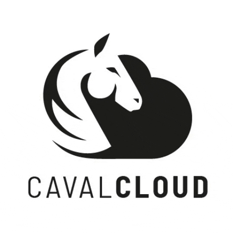 Cavalcloud app horses chevaux cavalcloud GIF