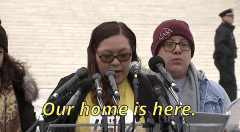 GIPHY News GIF - Find & Share on GIPHY