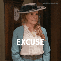 Excuse Me Reaction GIF by Murdoch Mysteries