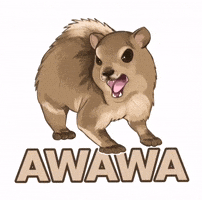 Hyrax GIF