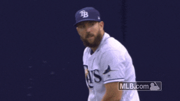Go Away GIF by MLB