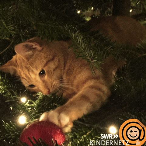 Christmas Tree Cat GIF by SWR Kindernetz