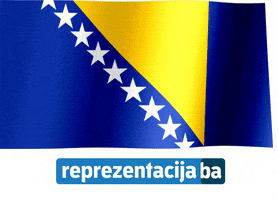 ReprezentacijaBa bosnia dzeko bosna bosna i hercegovina GIF