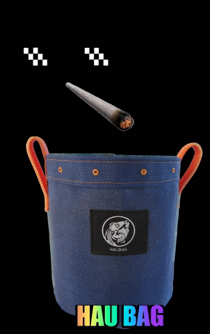 Hau Bag GIF
