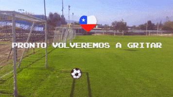 ESTADIO ISRAELITA MACCABI GIF