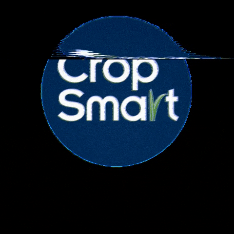 Crop Smart GIF