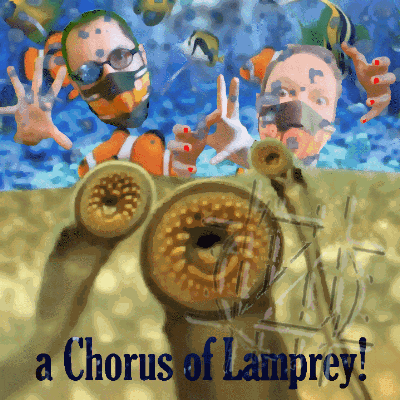 lampreys meaning, definitions, synonyms