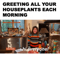 Good Morning Hello GIF by Rachael Ray Show