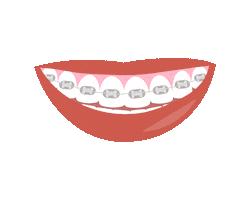 Nowlin Orthodontics Sticker