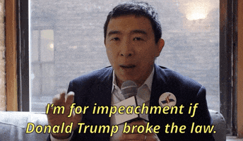 Impeach Donald Trump GIF