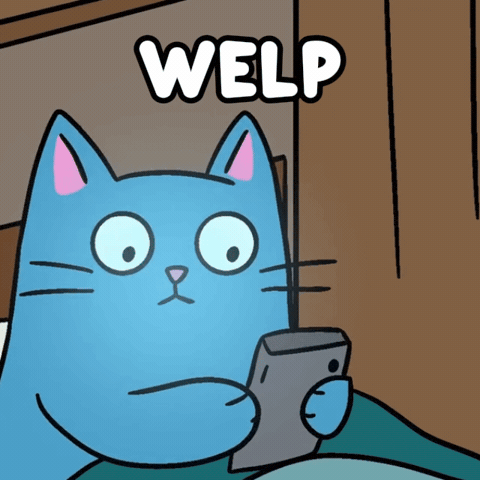 Blue Cat Acceptance GIF