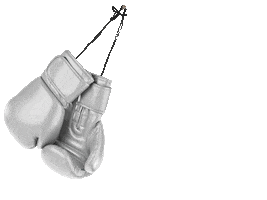 Knock-Out Fight Sticker by Luis Tavares