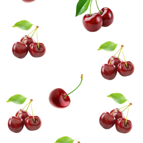 Cherry Berry Sticker by FrutoNyanya