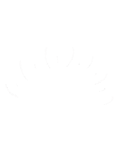 Sun Sticker