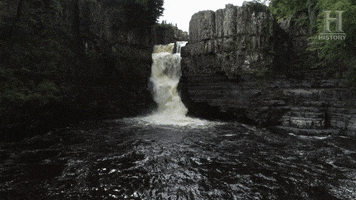 200.gif?cid=fc005b0807d01e057e46f5a1c9afb77450df5d5ec1a8c515&rid=200.gif&ct=g