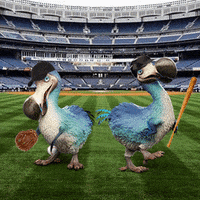 Home Run Baseball GIF by Dodo Australia