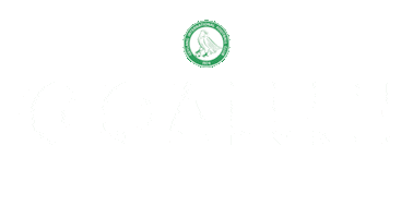 Goal Spl Sticker by Geylang International FC